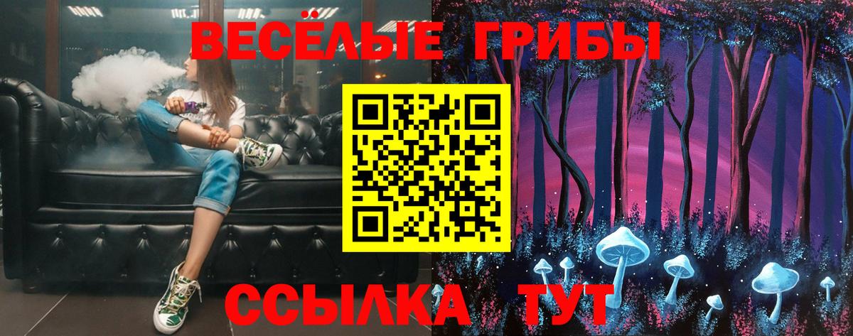 закладка  Галлюциногенные грибы Cubensis  Вход с VPN  Тулун  Псилоцибиновые грибы Psilocybe 